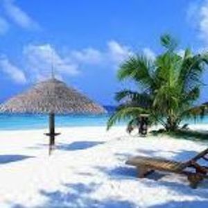 Meet your Posher, Carla